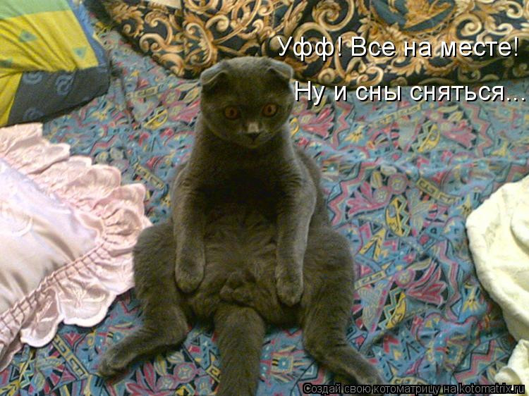 Почему все не так в опять. Почему все не так в опять. Опять на работу прикольные. Почему все не так в опять. Шо опять волк из мультика.