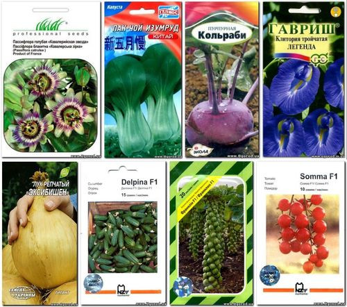 Где Купить Семена Овощей Почтой