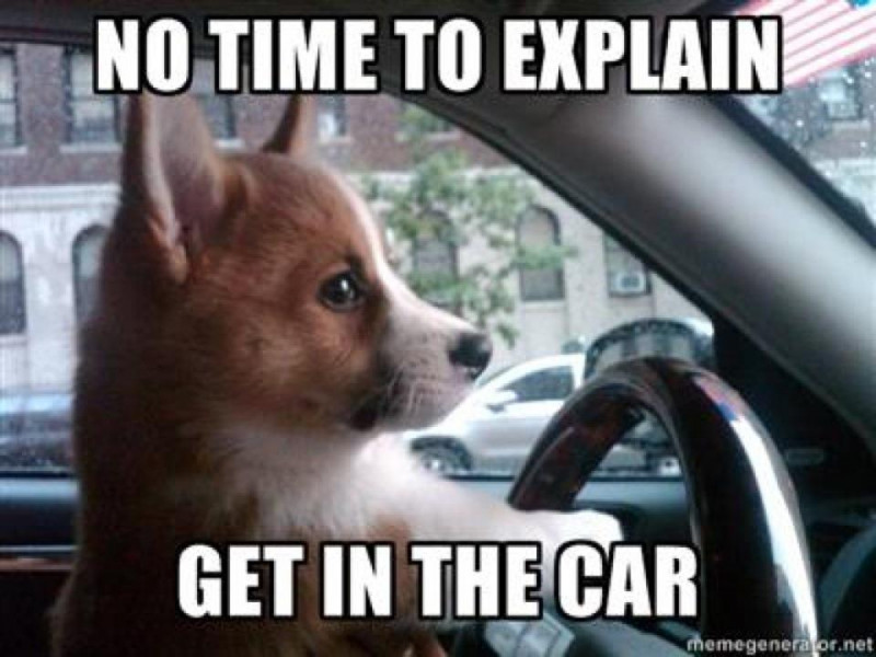 Explain to them. No time to explain get in the car. no time to explain мем. get in the car мем. корги мем.