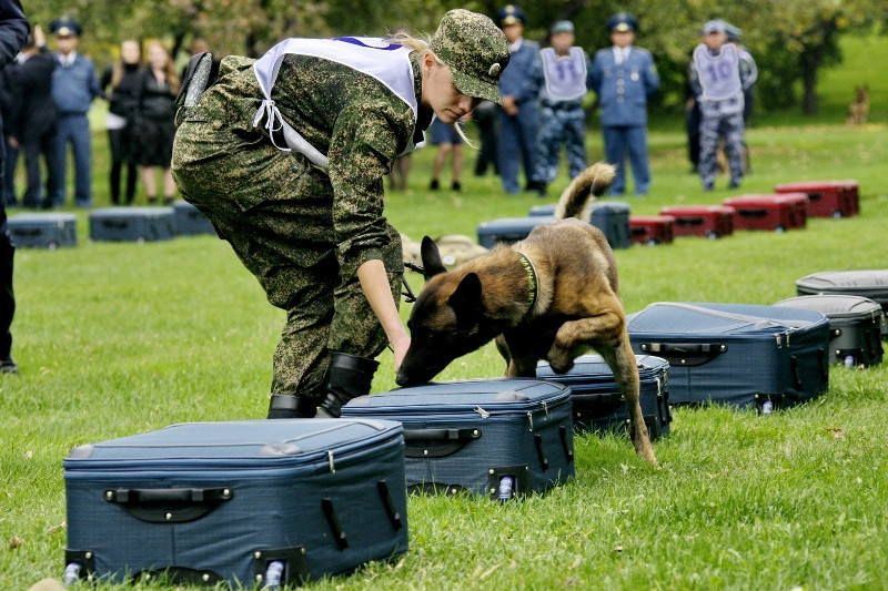 Поиск взрывчатых веществ собакой. Собаки по поиску вв. Поиск взрывчатых веществ. Детектор паров вв мо-2м. Тест экспресс-анализа проб на наличие взрывчатых веществ.
