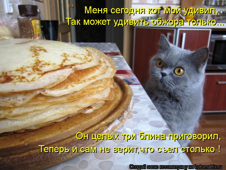 Кот с блинами на Масленицу