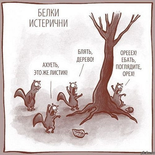 Белки истерички