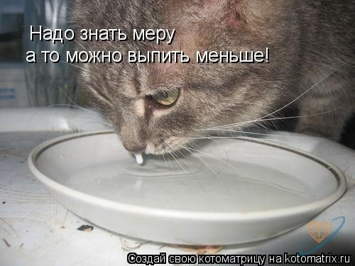
Картинка Надо Меньше Пить