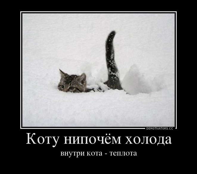 Магазин нипочем оренбург. Санкции на магазины одежды. Секонд хенд оренбург нипочем. Нипочем магазины секонд хенд. Нипочем написание.