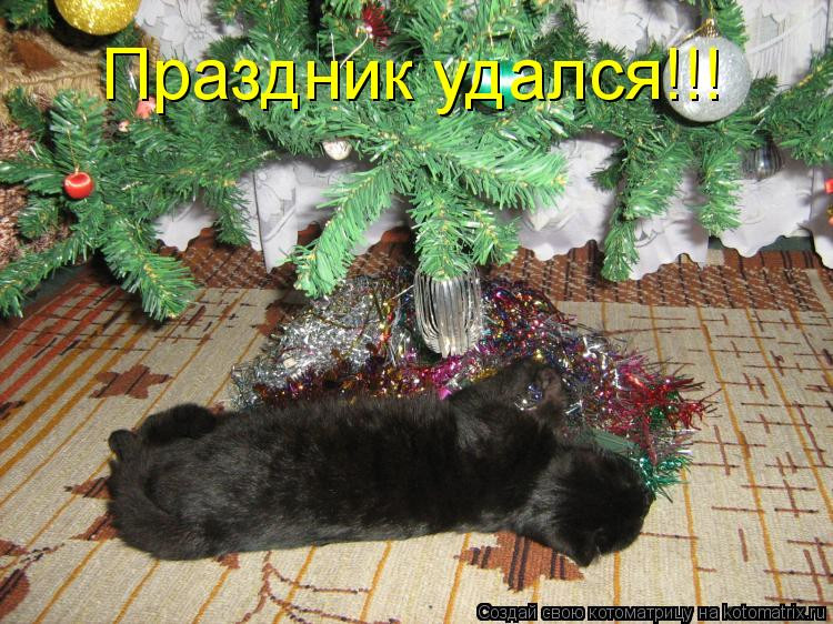 Праздник Удался Картинки
