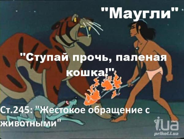 
Удачной Охоты Каа Картинки