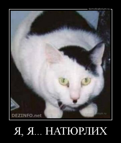 Всем плотного Персика!