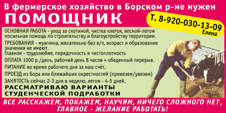 ищу работу помощник по хозяйству. ищу работу помощника по хозяйству. семейная пара помощники по хозяйству. ищу работа на дачу. работник по хозяйству.