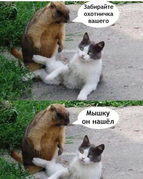 https://img.nn2.ru/forum800x600/0/forum/data/forum/images/2025-08/265557765-1756283023.jpg