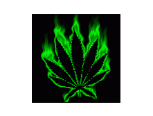Картинка с коноплей на аву вк марихуана в доминиканой