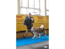 12866673.IMG_7260 (1).jpg