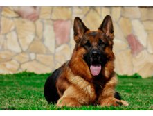 jjb2Ko8J[1].jpg