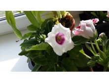 20140601_181715.jpg