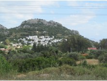  192.jpg