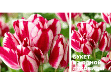 Флеминг Клаб 161 руб.gif