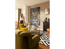 1-619_Lion_Interieur_i 127-184..jpg