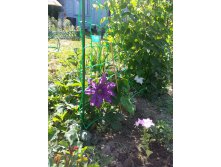 20140607_160741.jpg