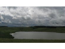 IMG_3222.JPG