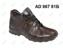 1800. AD 867 81.jpg