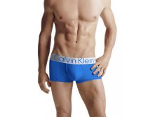 CK Men's Steel. 