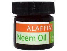 Alaffia, Basics,  , 0.8 oz (24 ml)