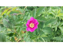 2014-06-21 10-57-45.JPG