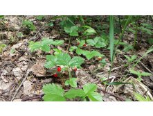 2014-06-21 13-53-49.JPG