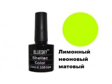 Bluesky NEON 34