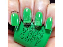 Shellac.Lush Tropics...  !2.jpg