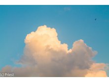 IMG_6207.jpg