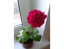 2014-06-07 20-52-16.JPG