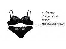 1-a9660-6.jpg