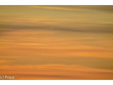 IMG_8917.jpg