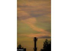 IMG_8916.jpg