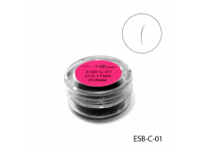    8 ESB-C-01