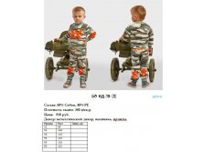 50 КД-19 (2).jpg