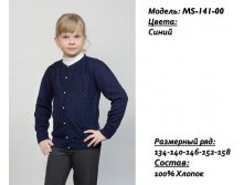 MS-141-00.jpg