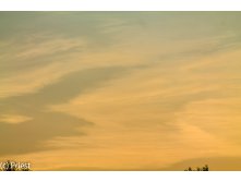 IMG_9266.jpg