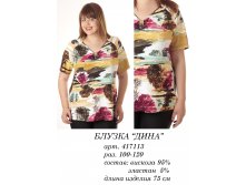 417113 (700) ДИНА(116).jpg
