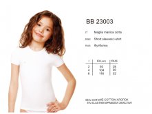 BB23003