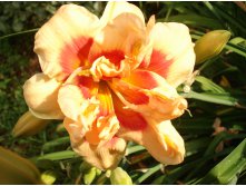 Forty second street.JPG