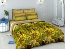 4269 Золотой Плёс(бол).jpg