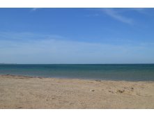 DSC_0286.JPG