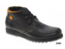 1450.,  39-44, .3509.jpg