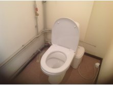 image.jpg