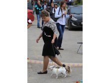 IMG_1287.JPG