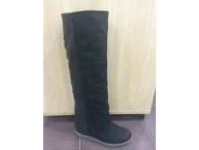 1976-1090-0205 ..  125$