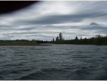 P1010064.JPG