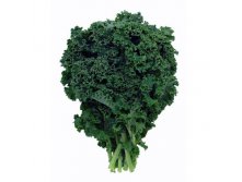 1363248930_domashniy-sad-kale.jpg