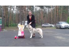 Bq2iulRkuT8.jpg